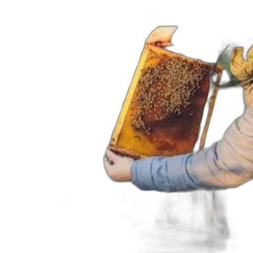 robot, food, mask, furniture transparent PNG cut-out