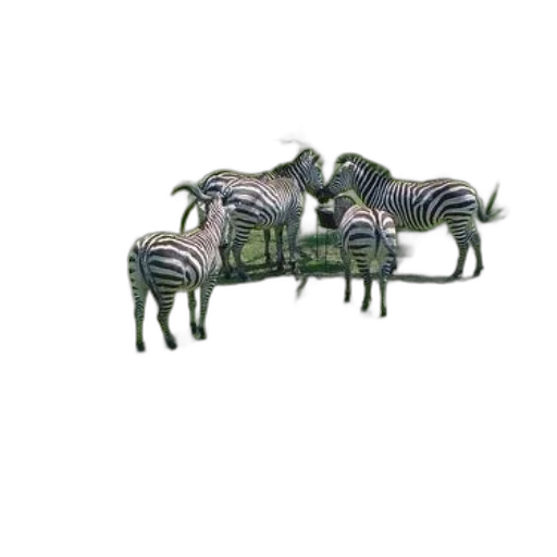 animal, creature, furniture, dragon transparent PNG cut-out