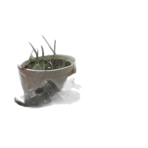 weapon, creature, food, hat transparent PNG cut-out