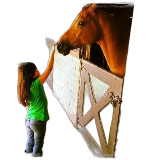 animal, photorealistic, girl, green transparent PNG cut-out