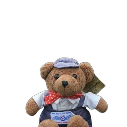 staff, hat, teddy, bear transparent PNG cut-out