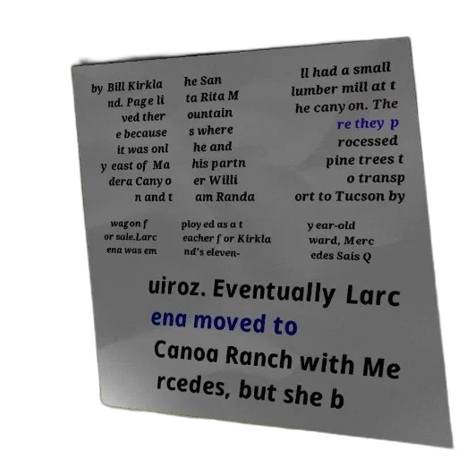 food, robot, poster, text transparent PNG cut-out