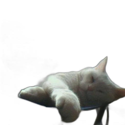 creature, animal, staff, umbrella transparent PNG cut-out