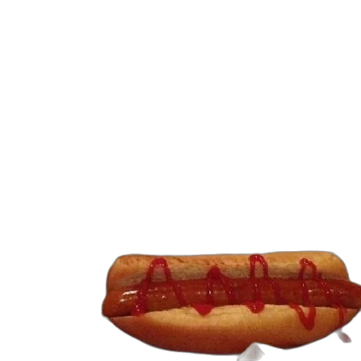 food, animal, weapon, creature transparent PNG cut-out