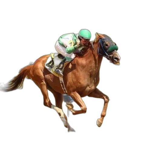 animal, photorealistic, jockey, green transparent PNG cut-out