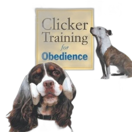 book, cover, titled, clicker transparent PNG cut-out
