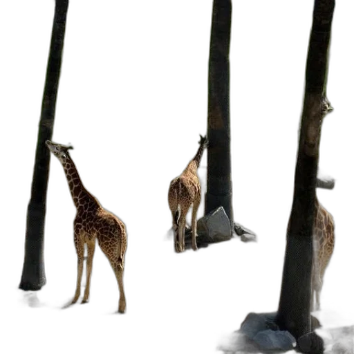 staff, animal, weapon, creature transparent PNG cut-out