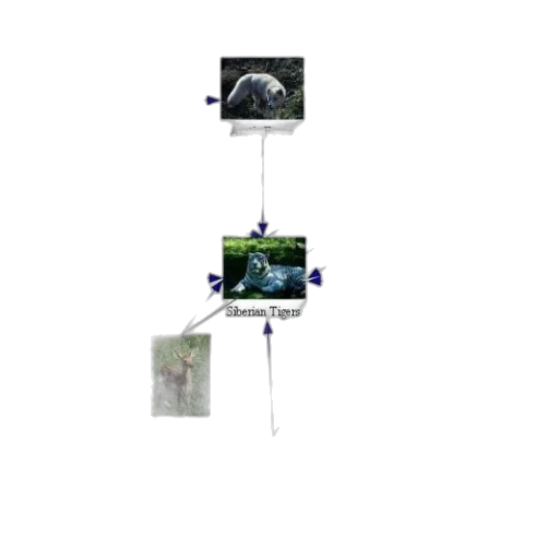 tree, staff, robot, weapon transparent PNG cut-out