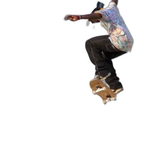 shoes, hat, animal, jacket transparent PNG cut-out
