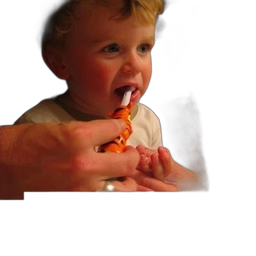 jewelry, food, staff, creature transparent PNG cut-out