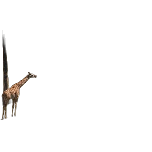 animal, creature, staff, sword transparent PNG cut-out