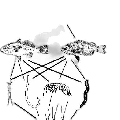 crown, animal, jewelry, umbrella transparent PNG cut-out