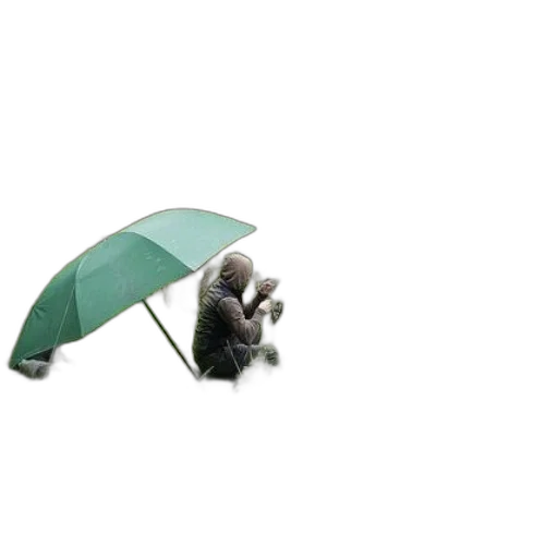 umbrella, staff, hat, animal transparent PNG cut-out