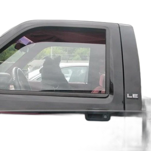 car, dog, sits, driver transparent PNG cut-out