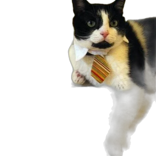 staff, animal, creature, hat transparent PNG cut-out