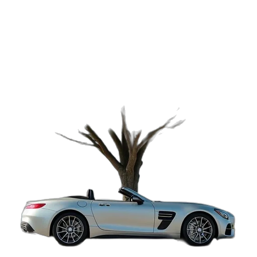 car, tree, animal, weapon transparent PNG cut-out