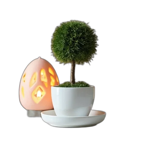tree, furniture, crown, hat transparent PNG cut-out