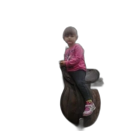 creature, animal, furniture, car transparent PNG cut-out