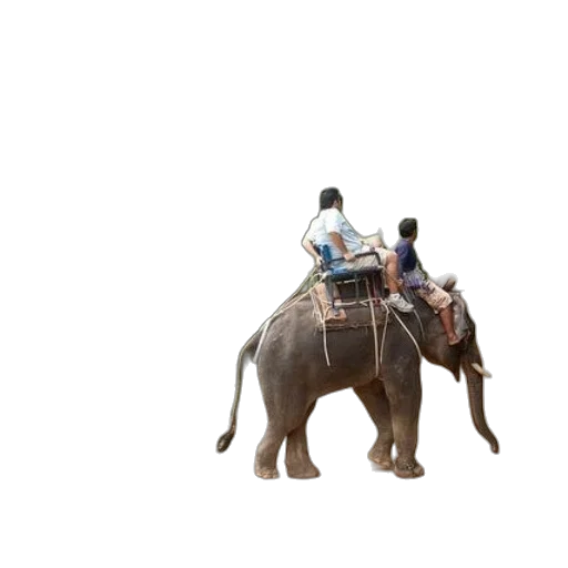 animal, staff, car, creature transparent PNG cut-out