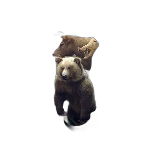 staff, hat, animal, creature transparent PNG cut-out