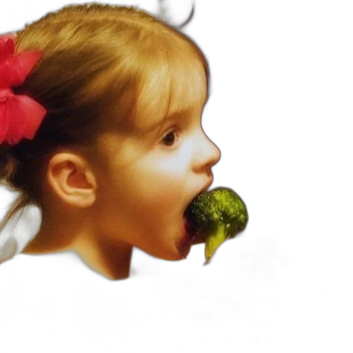 food, face, creature, flower transparent PNG cut-out