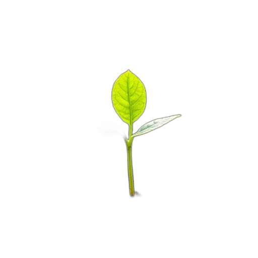 tree, staff, flower, weapon transparent PNG cut-out