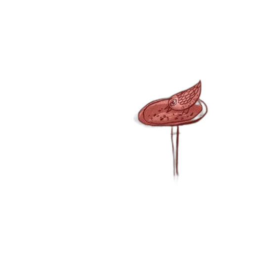 umbrella, furniture, hat, jewelry transparent PNG cut-out