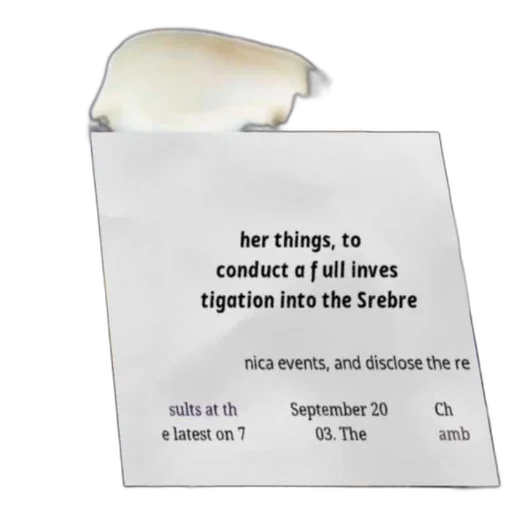 jewelry, dress, document, text transparent PNG cut-out