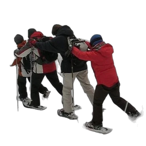 staff, jacket, snow, group transparent PNG cut-out