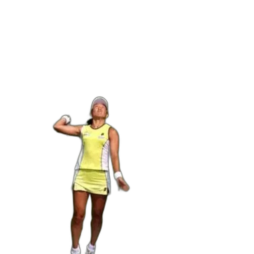 dress, staff, hat, 3d render transparent PNG cut-out