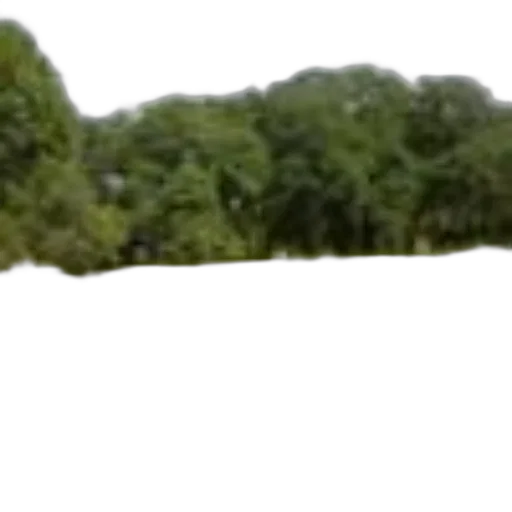 tree, dragon, staff, sword transparent PNG cut-out