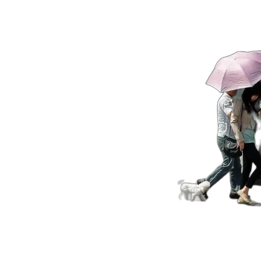 umbrella, photorealistic, 3d render, concept art transparent PNG cut-out