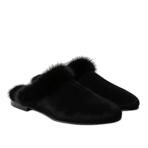 hat, shoes, hair, crown transparent PNG cut-out