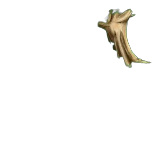 weapon, dragon, crown, tree transparent PNG cut-out