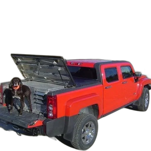 car, animal, weapon, 3d render transparent PNG cut-out