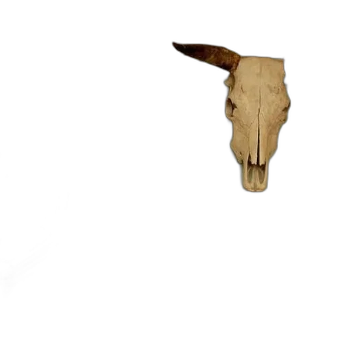 mask, hat, animal, staff transparent PNG cut-out