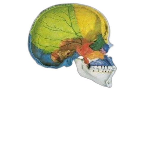 mask, face, hat, crown transparent PNG cut-out