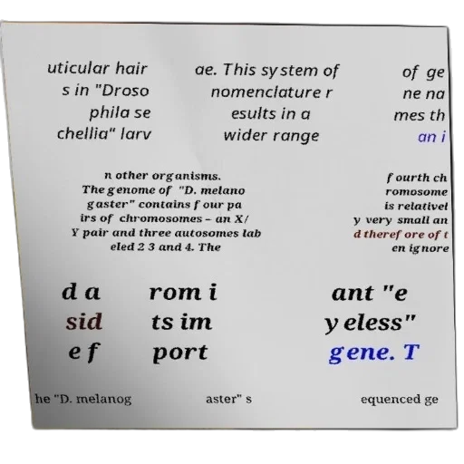 crown, outer space, fog, diagram transparent PNG cut-out