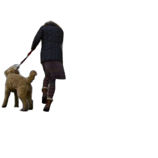 animal, staff, creature, jacket transparent PNG cut-out