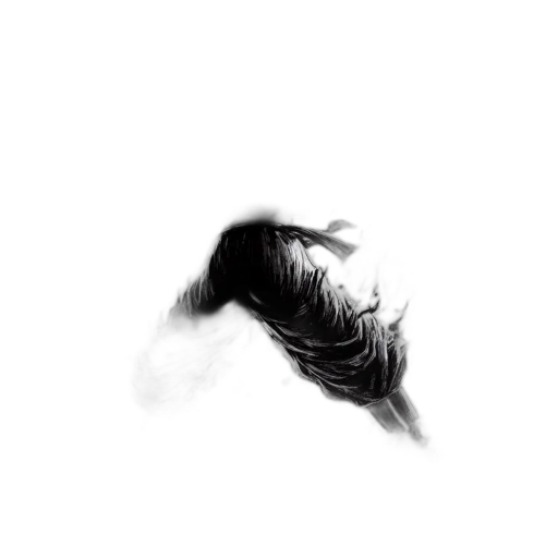 hair, face, mask, creature transparent PNG cut-out