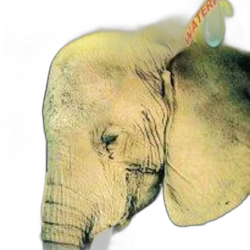 animal, mask, creature, jacket transparent PNG cut-out