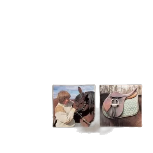 shoes, furniture, jewelry, hat transparent PNG cut-out