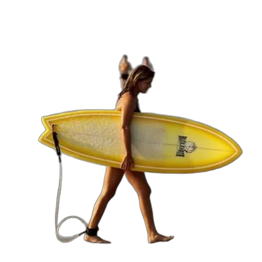 animal, creature, staff, weapon transparent PNG cut-out