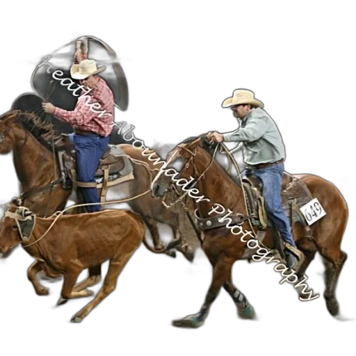 hat, animal, weapon, staff transparent PNG cut-out