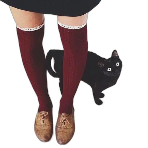 shoes, dress, animal, staff transparent PNG cut-out