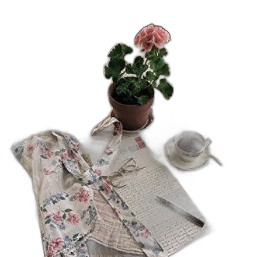 jacket, dress, flower, umbrella transparent PNG cut-out