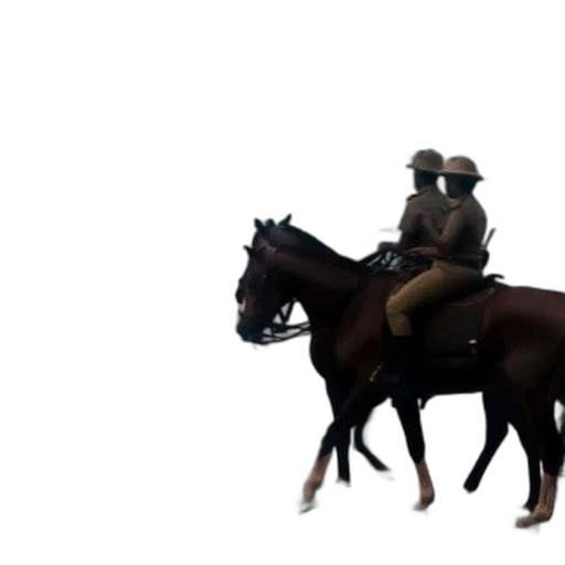 animal, hat, weapon, staff transparent PNG cut-out