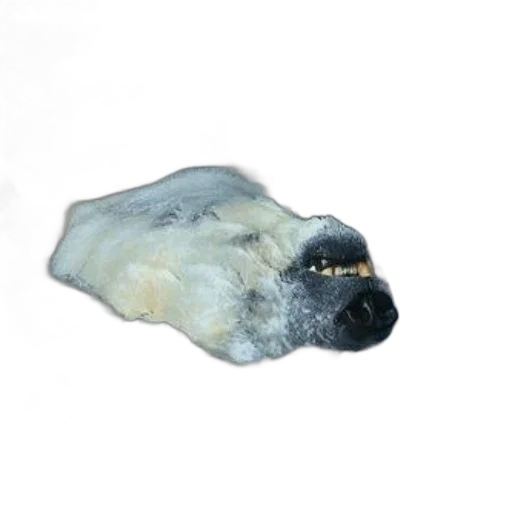mask, hair, animal, face transparent PNG cut-out