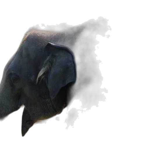 mask, face, dragon, creature transparent PNG cut-out