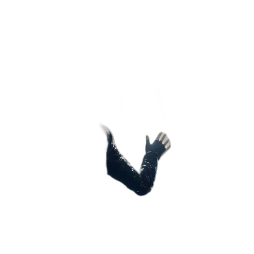hair, animal, creature, dragon transparent PNG cut-out